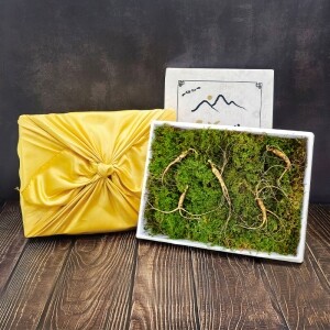 삼선생 프리미엄 산양산삼 6-7년근 5뿌리