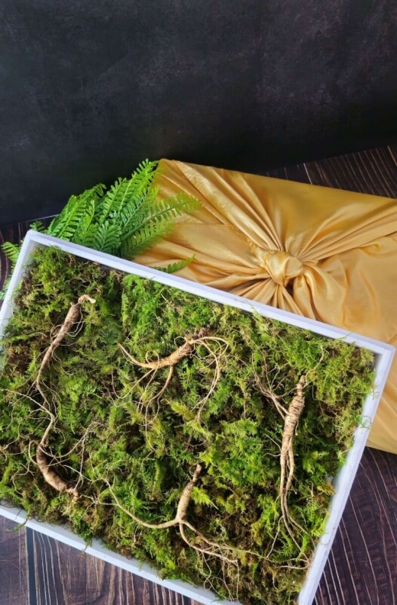 삼선생,삼선생 프리미엄 산양산삼 6-7년근 10뿌리