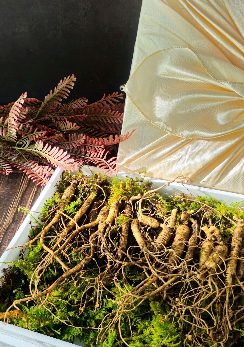 삼선생,삼선생 프리미엄 산양산삼 6-7년근 50g