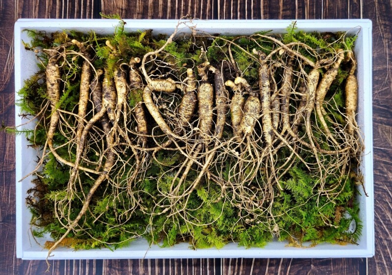 삼선생,삼선생 프리미엄 산양산삼 6-7년근 100g